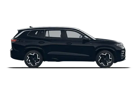 Tayron in Grenadilla Black Metallic, side profile view